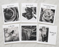 Whispers of Charcoal Collection