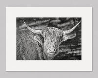 The Watcher - Signed and Numbered