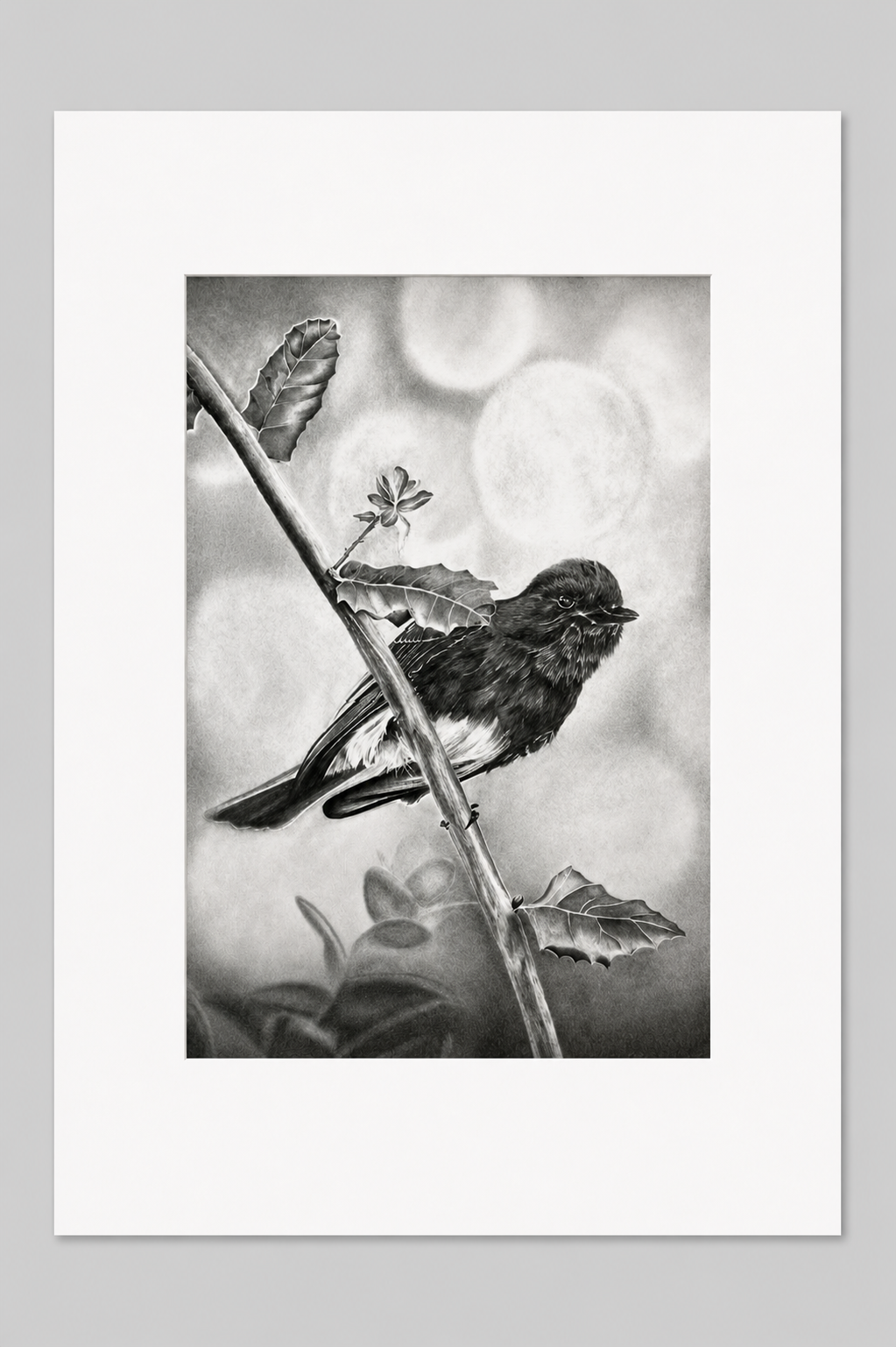 "Bird on a Branch" - Signed and Numbered