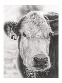 "COW"-No.42 - Signed and Numbered