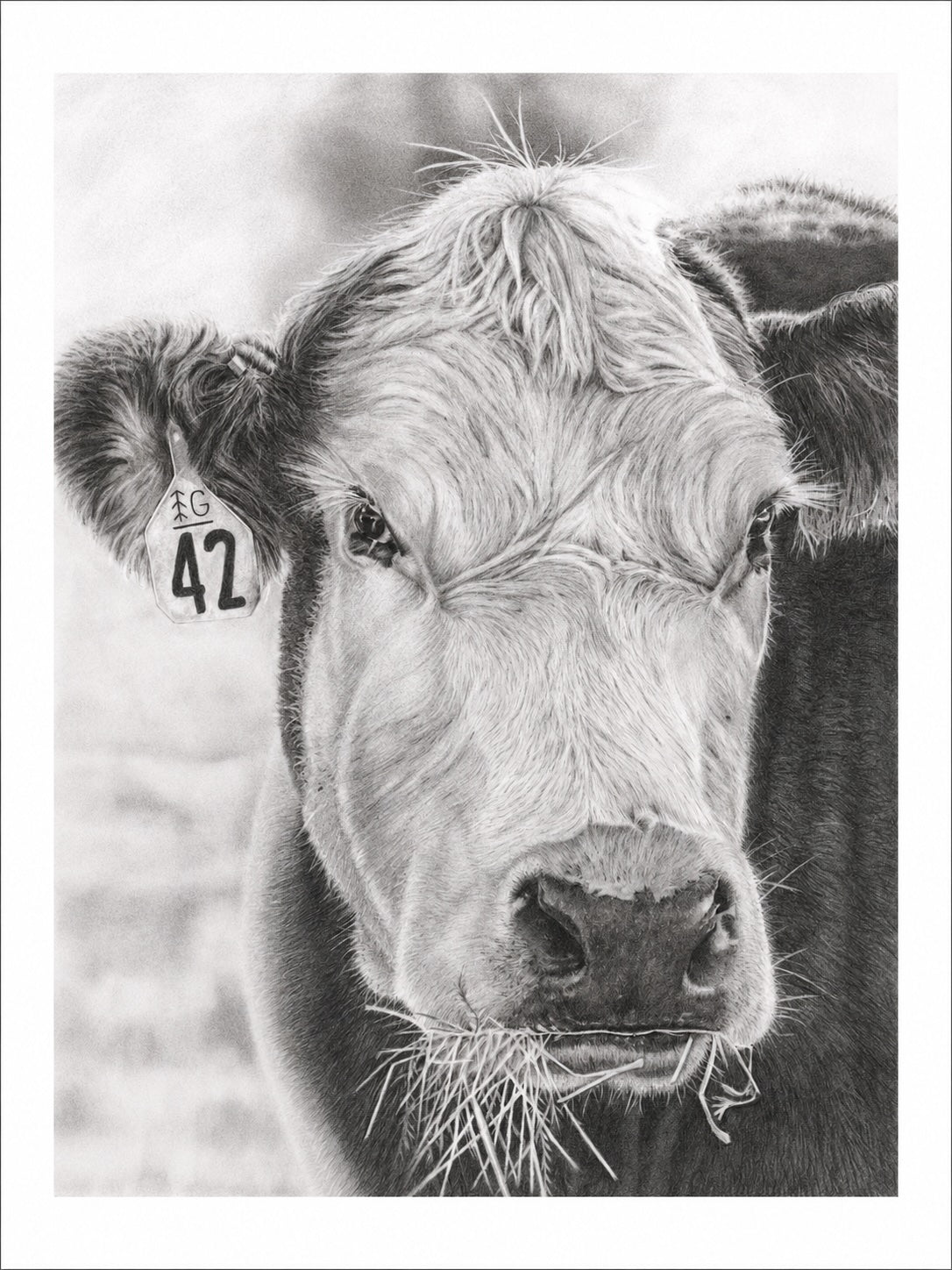 "COW"-No.42 - Signed and Numbered