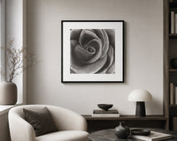 Velvet Rose - Signed and Numbered