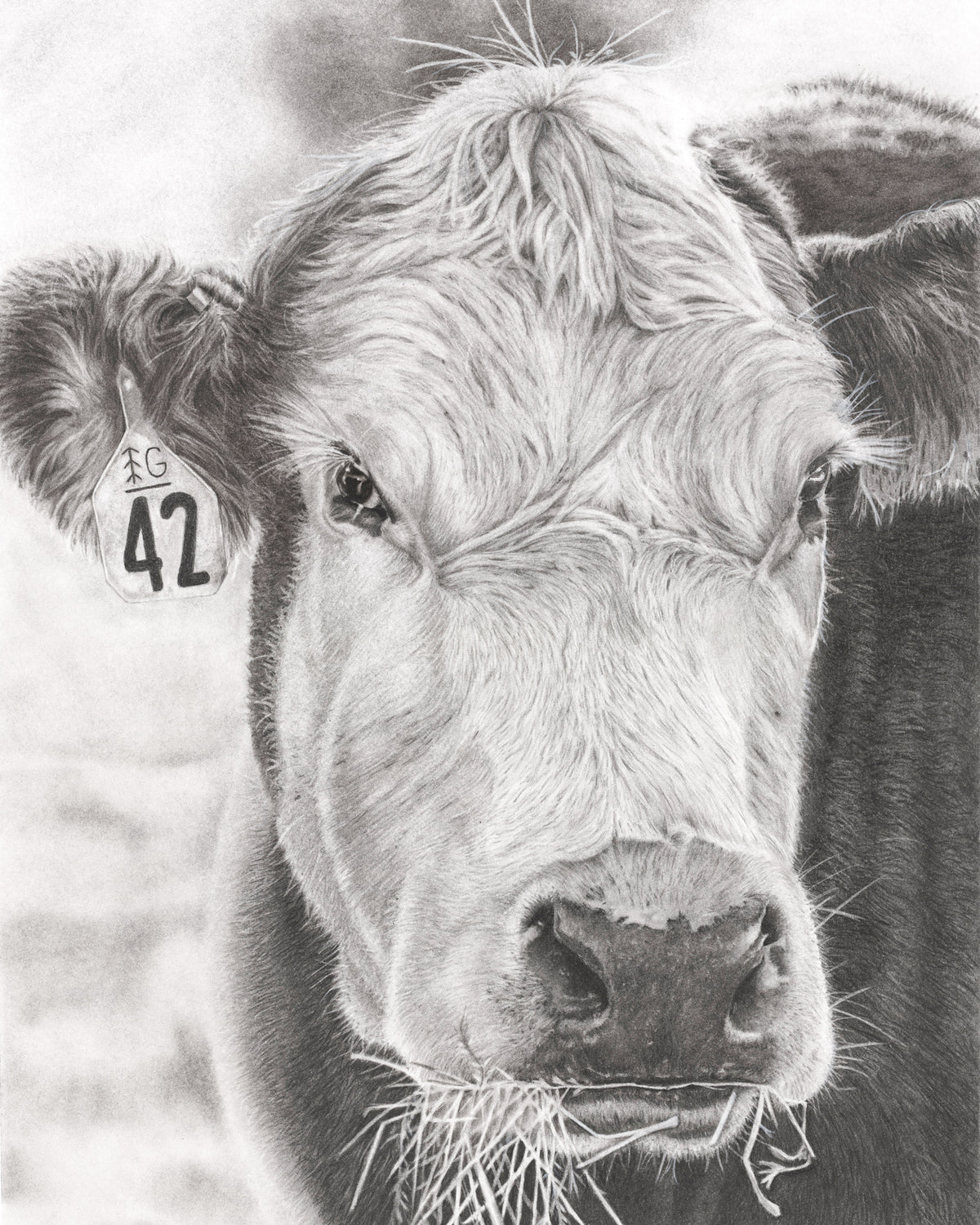 "COW"-No.42 - Signed and Numbered