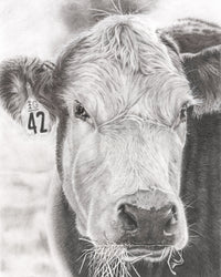 "COW"-No.42 - Signed and Numbered