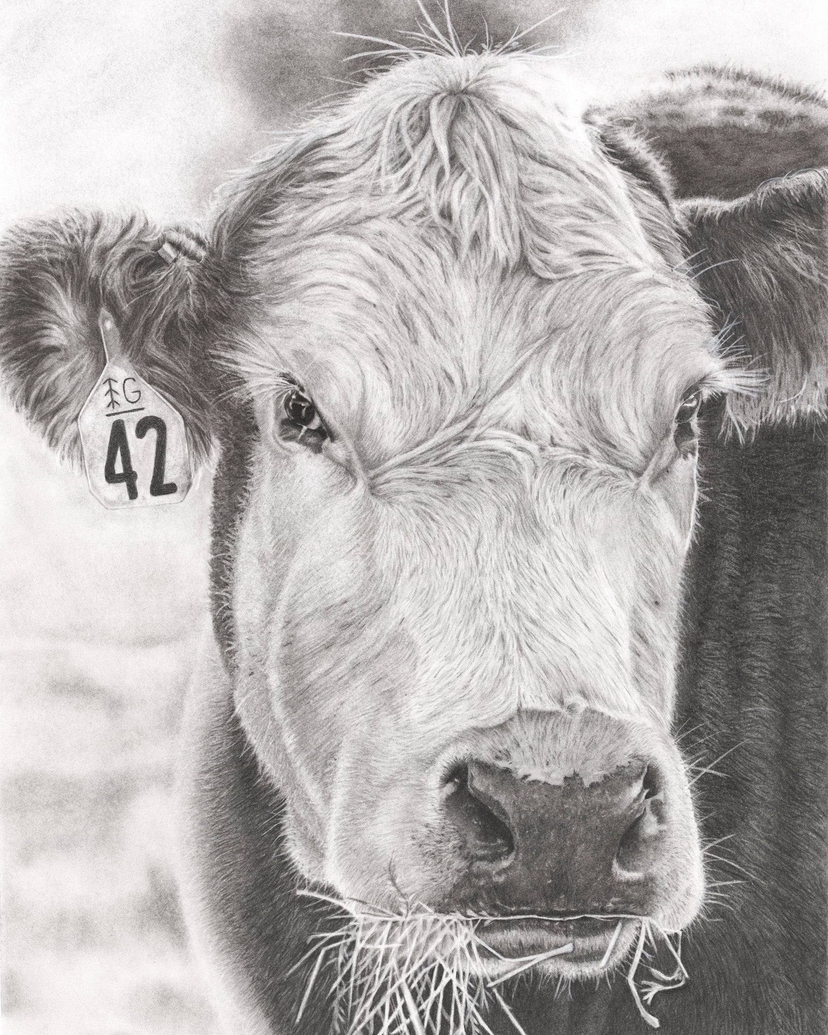 "COW"-No.42 - Signed and Numbered