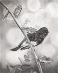 "Bird on a Branch" - Signed and Numbered