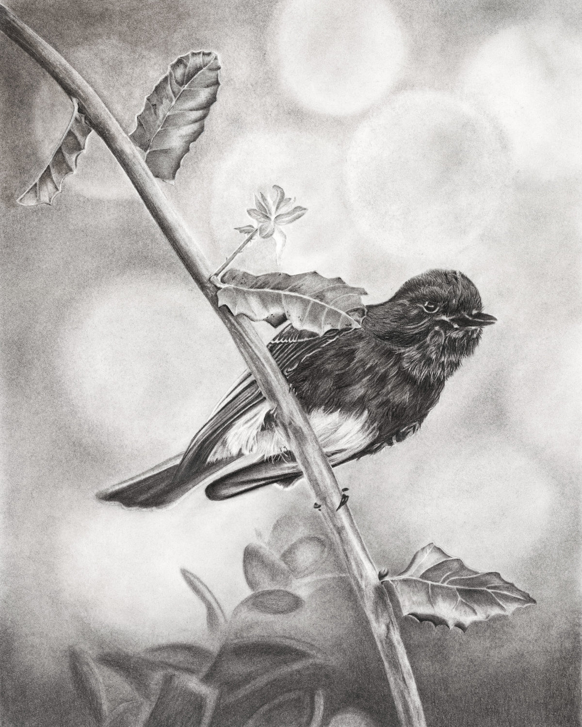 "Bird on a Branch" - Signed and Numbered