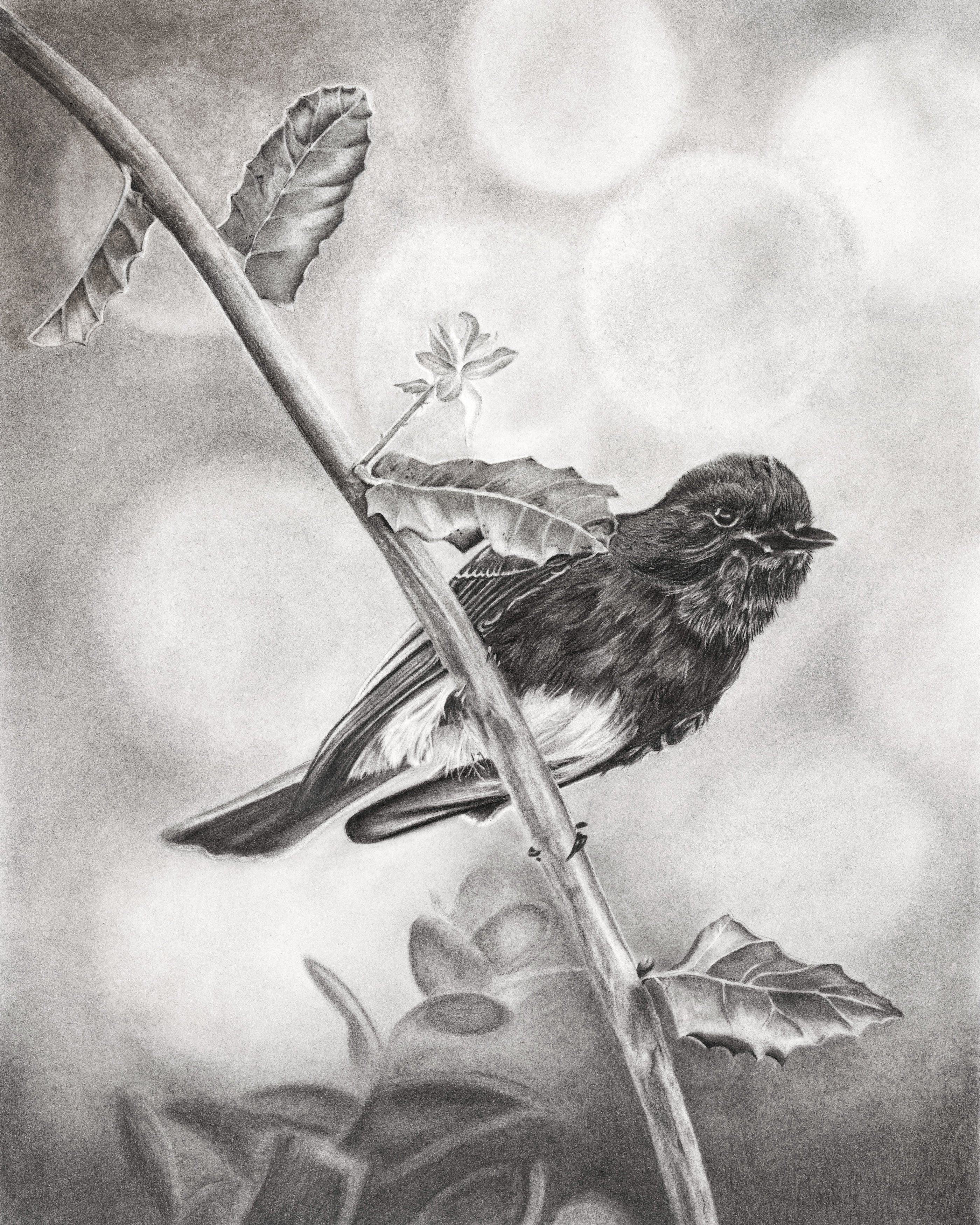 "Bird on a Branch" - Signed and Numbered