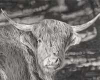 The Watcher - Signed and Numbered